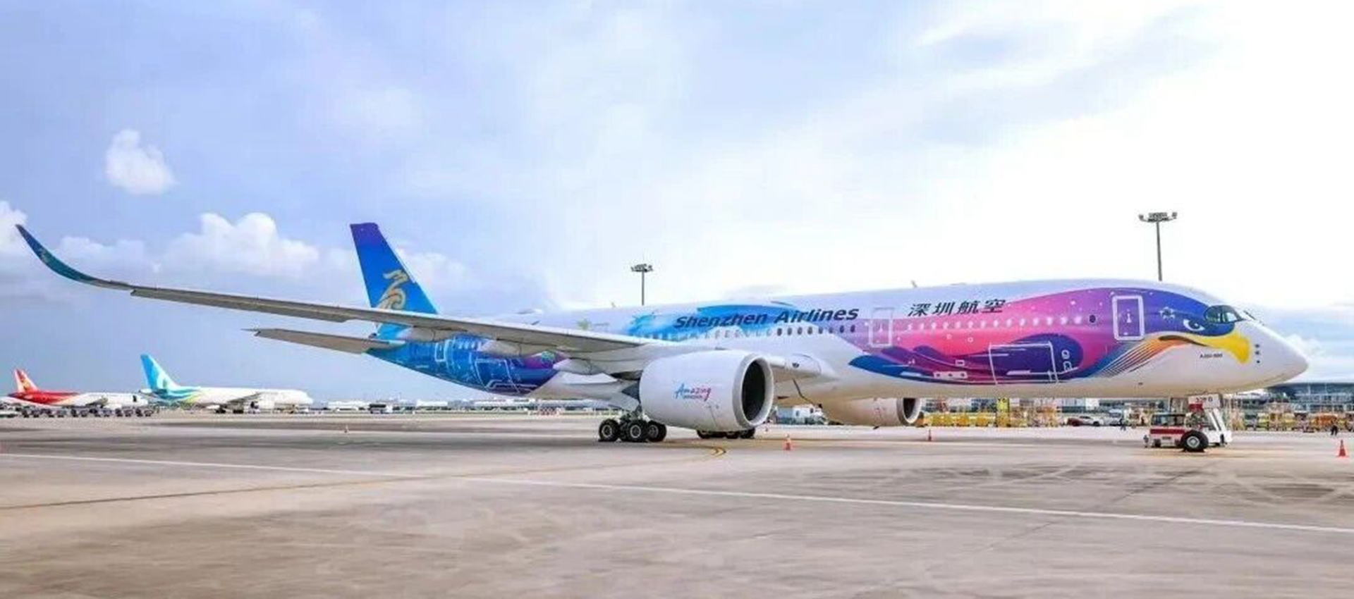 Shenzhen Airlines introduces first Airbus