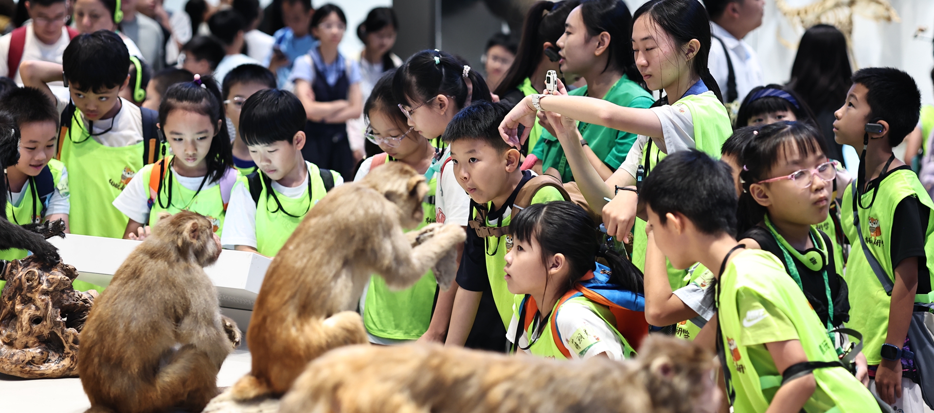 Exploring Shenzhen Natural History Museum